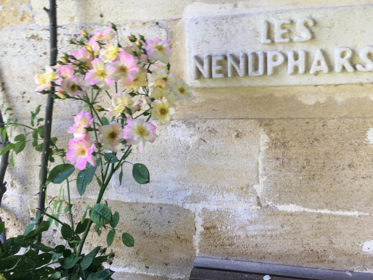 Gites Face Riviere Saint-Emilion Vignonet Exterior photo